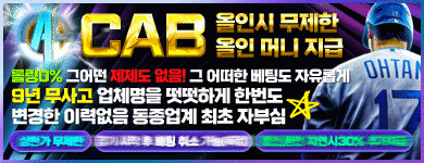 배너 15
