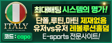 배너 32